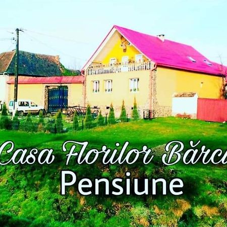 Casa Florilor Barcut Leilighet Eksteriør bilde