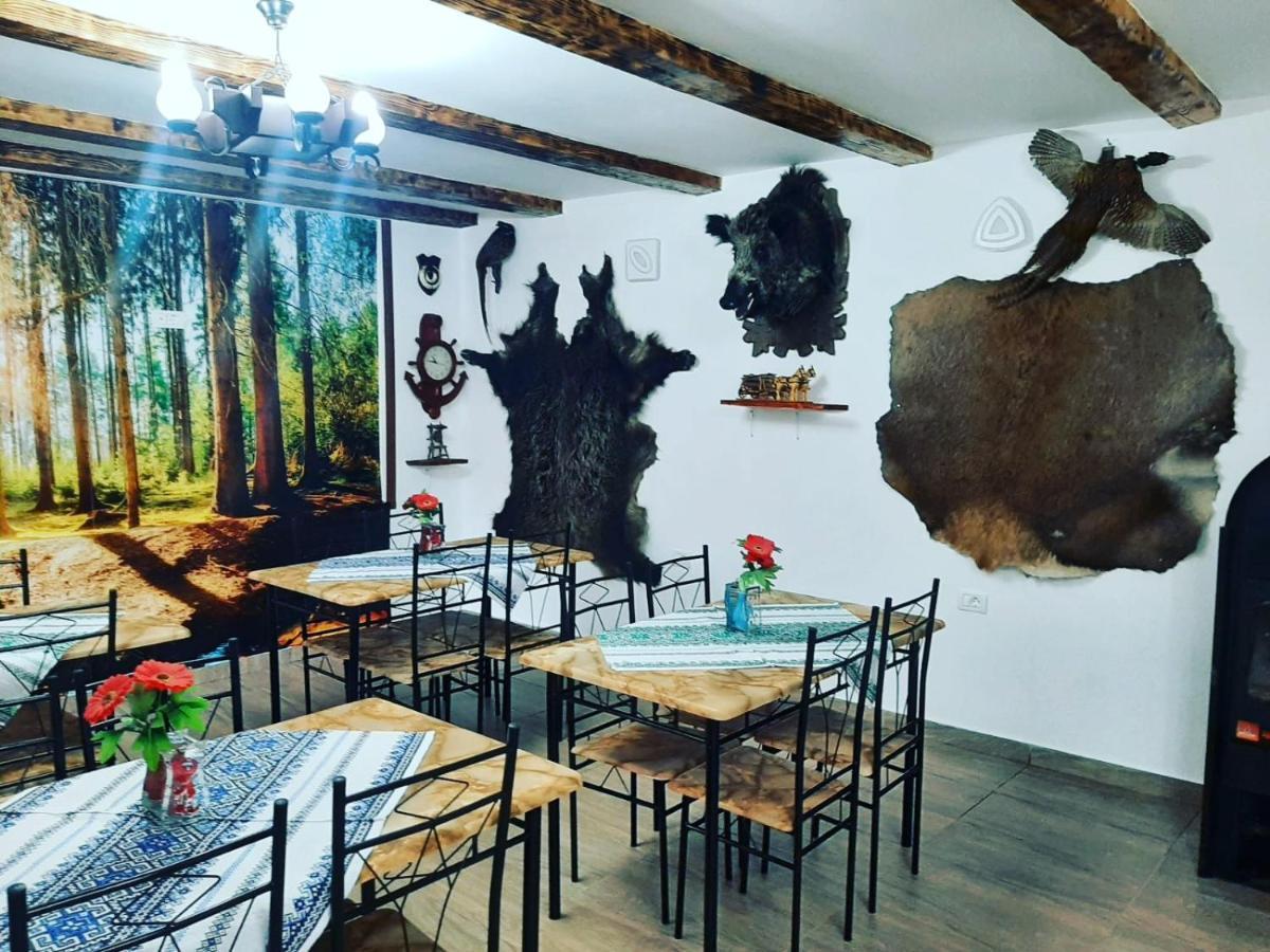 Casa Florilor Barcut Leilighet Eksteriør bilde