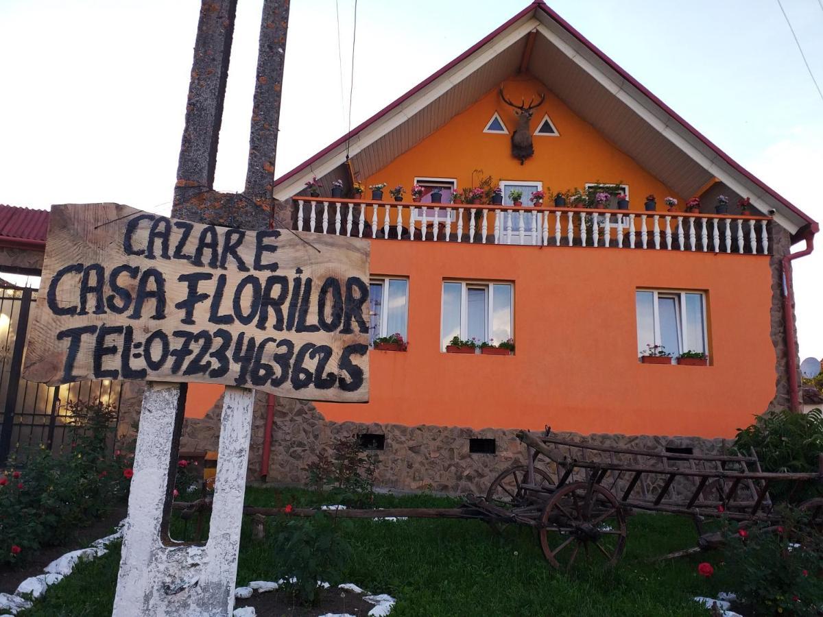 Casa Florilor Barcut Leilighet Eksteriør bilde