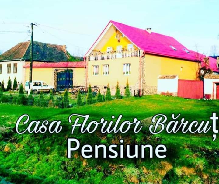 Casa Florilor Barcut Leilighet Eksteriør bilde