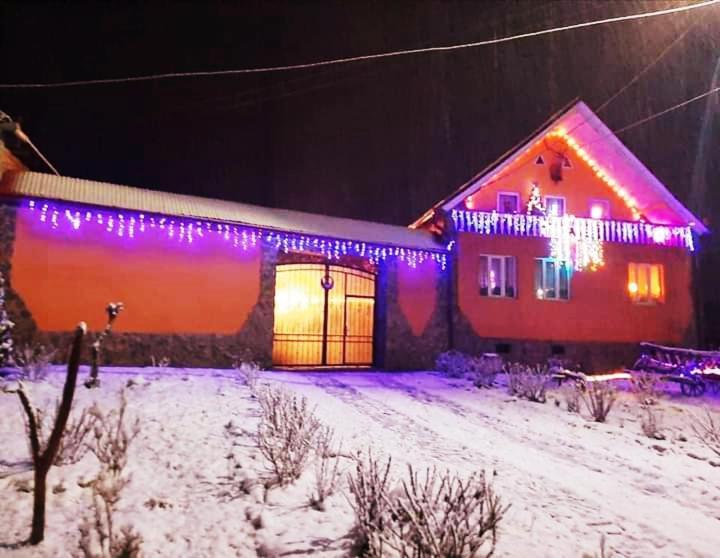 Casa Florilor Barcut Leilighet Eksteriør bilde
