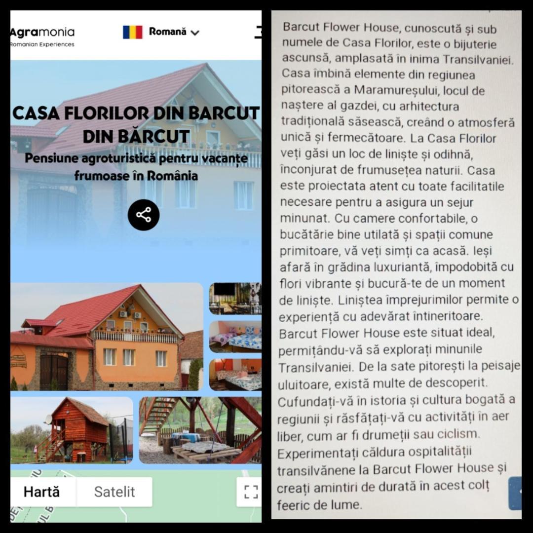 Casa Florilor Barcut Leilighet Eksteriør bilde